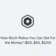 How Much Robux You Can Get For the dollars