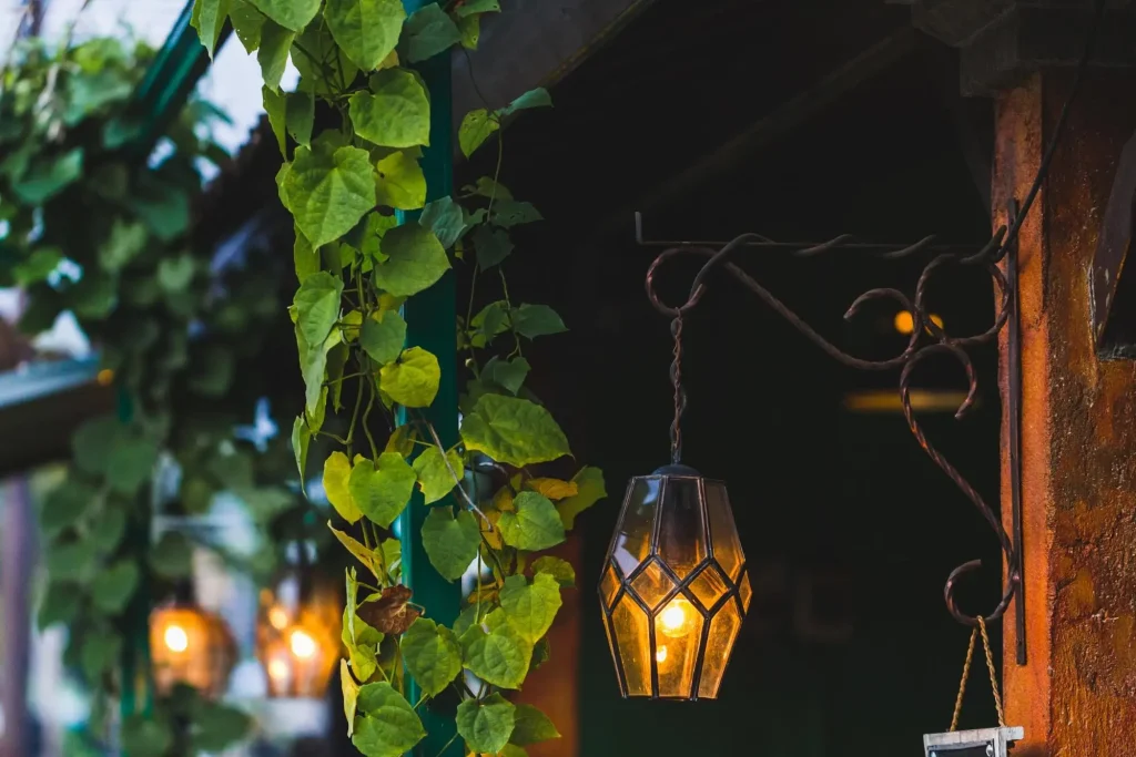 lamp hanging outside