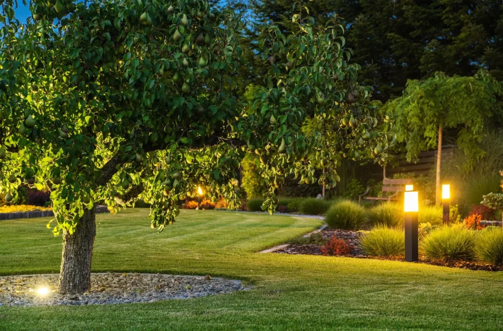 garden with outdoor lighting