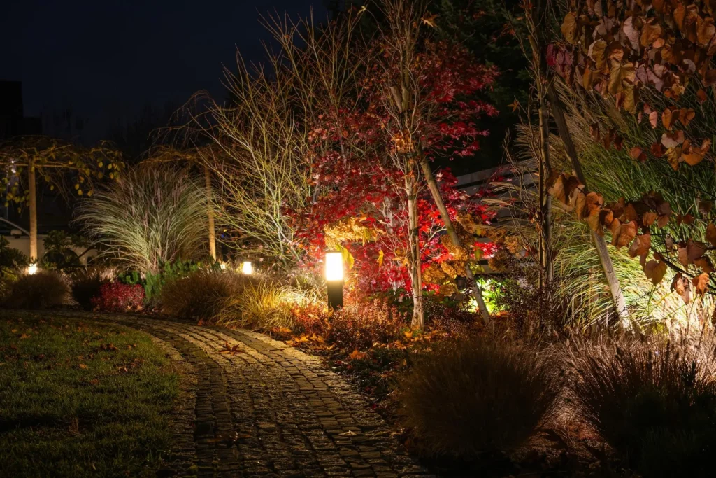 garden path illumination