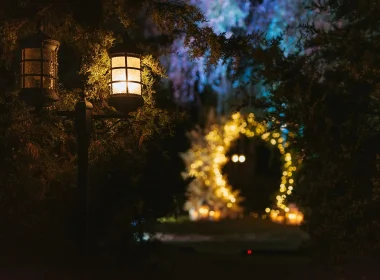 garden lights